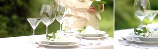 Diner en Blanc